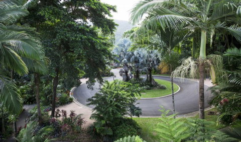 Oasis At Palm Cove - Tourism Caloundra 7