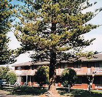 Eastern Beach Holiday Units - Tourism Caloundra