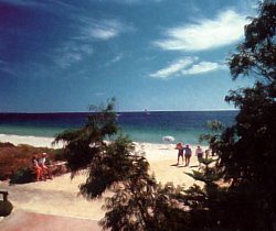 Acacia Caravan Park - Tourism Caloundra 0