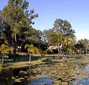 Twin Lakes Hotel - Tourism Caloundra