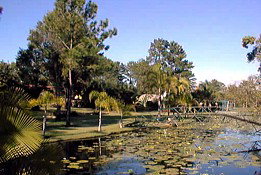 Twin Lakes Hotel - Tourism Caloundra 0