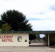 Millicent Motel - Tourism Caloundra