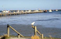 Port Macdonnell SA Tourism Caloundra