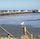 Seaview Motel and Holiday Units - Tourism Caloundra