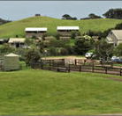 Ace Hi Riding Ranch - Tourism Caloundra