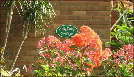 North Balgowlah NSW Tourism Caloundra