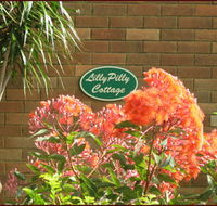 Lillypilly - Tourism Caloundra