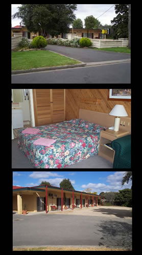 Ace Swan Motel - Tourism Caloundra 0