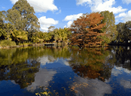 BIG4 Maroochy Palms Holiday Village - Tourism Caloundra 2