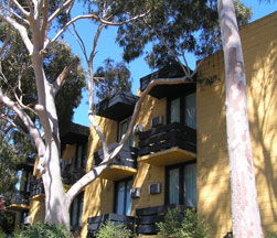Pathfinder Motel - Tourism Caloundra 1