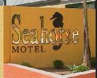 Seahorse Motel - Tourism Caloundra 1