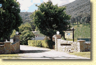 Willow Dene - Tourism Caloundra 1