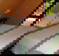 The Lounging Lizard - Tourism Caloundra