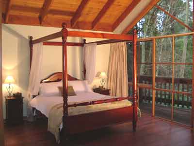 Belle Le Vie (Luxury B&B) - Tourism Caloundra 2