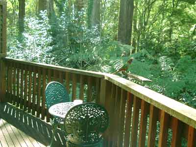 Belle Le Vie (Luxury B&B) - Tourism Caloundra 4