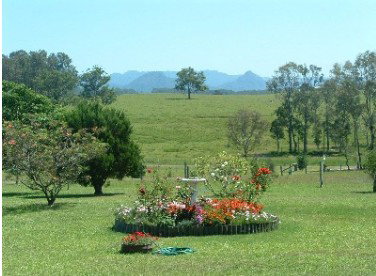 Tallowood Ridge Farmstay B - Tourism Caloundra 3
