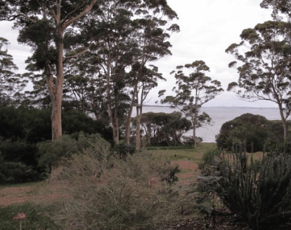 The Denmark Waterfront - Tourism Caloundra