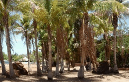 King Sound Resort Hotel - Tourism Caloundra