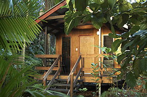 Cape Tribulation QLD Tourism Caloundra