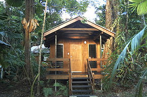 Cape Trib Beach House - Tourism Caloundra 3