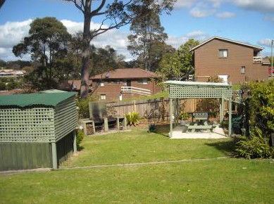 The Tree Motel - Tourism Caloundra 0