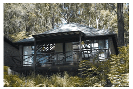 Treetops Resorts - Tourism Caloundra 2