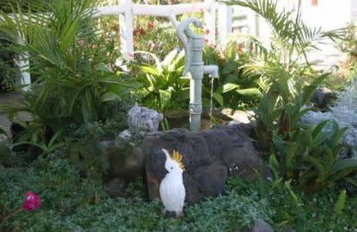 Kingfisher Motel - Tourism Caloundra 3