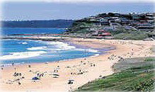 Ashiana Boutique - Tourism Caloundra 1