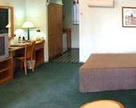 Weedallion NSW Tourism Caloundra
