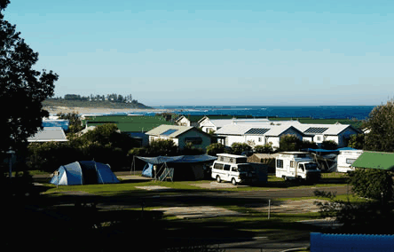 Blue Lagoon Beach Resort - Tourism Caloundra 3