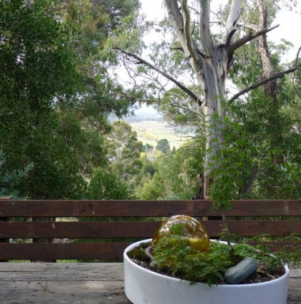 Bimblegumbie B And B - Tourism Caloundra 0