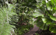 Rainforest Grove Holiday Resort - thumb 1