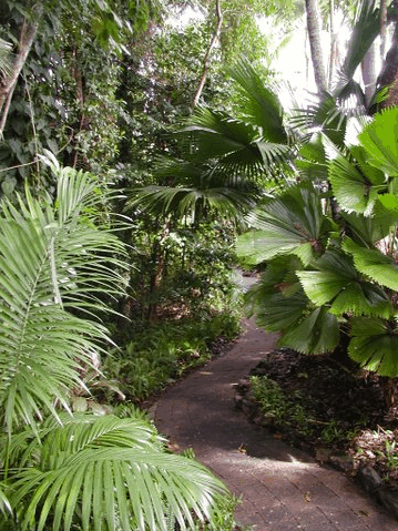 Rainforest Grove Holiday Resort - Tourism Caloundra 1