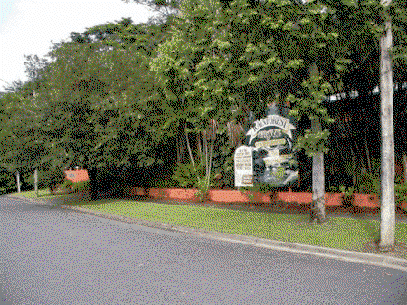 Rainforest Grove Holiday Resort - Tourism Caloundra 2
