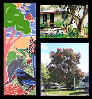 Bushland Cabins - Tourism Caloundra 0