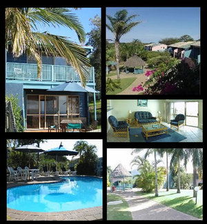 Pandanus Palms Resort - Tourism Caloundra 1