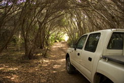 Nampara Cabins - Tourism Caloundra 1