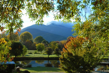 Dreamers Spa Resort - Tourism Caloundra 4