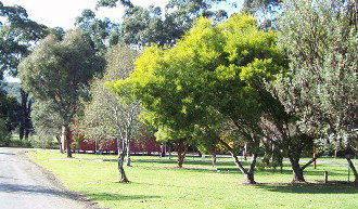 Gellibrand River Valley Cabins - Tourism Caloundra 1