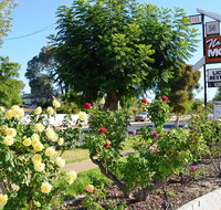 Narrogin Motel - Tourism Caloundra