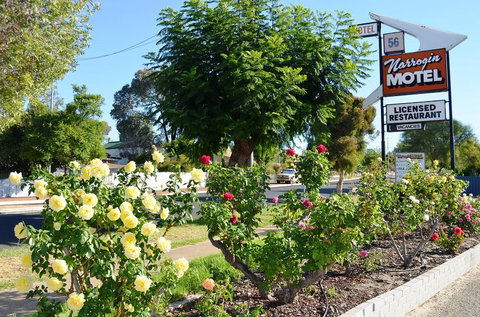 Narrogin Motel - Tourism Caloundra 0