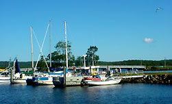 Evans Head Pacific Motel - Tourism Caloundra 4