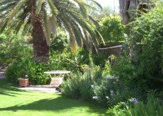 Nthaba Cottage - Tourism Caloundra 0