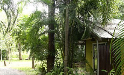 Rum Jungle Bungalows - Tourism Caloundra 3