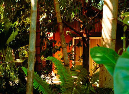 Rum Jungle Bungalows - Tourism Caloundra 5