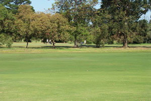 Beach Motor Inn - Tourism Caloundra 7