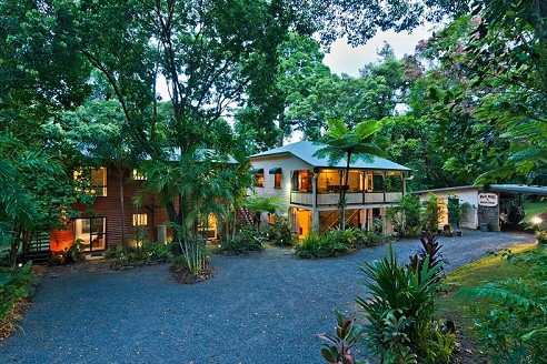 Daintree QLD Tourism Caloundra
