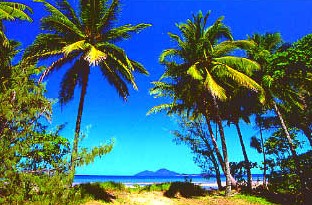 Mission Beach Rainforest Motel - Tourism Caloundra 1