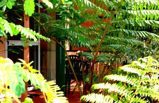 Mission Beach Rainforest Motel - Tourism Caloundra 3
