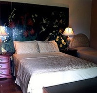 Daintree Manor - Tourism Caloundra